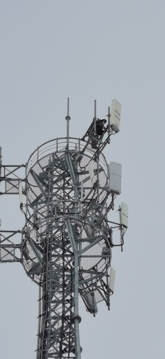 大雪时节，电信服务温暖如约——记信息咨询服务的坚守与温度